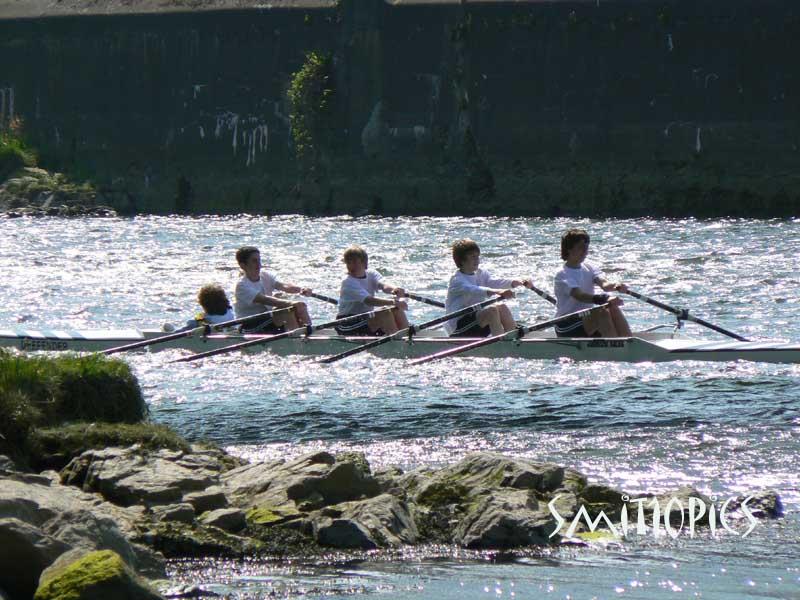 P1010247 copy